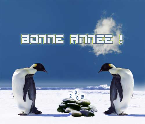 Voeux 2009, les pingouins par www.vdgraphics.com Voeux 2009, les pingouins par www.vdgraphics.com